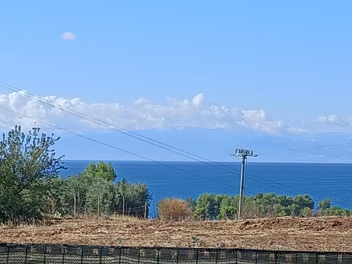 La Taverna Di Angela Амендолара Екстериор снимка